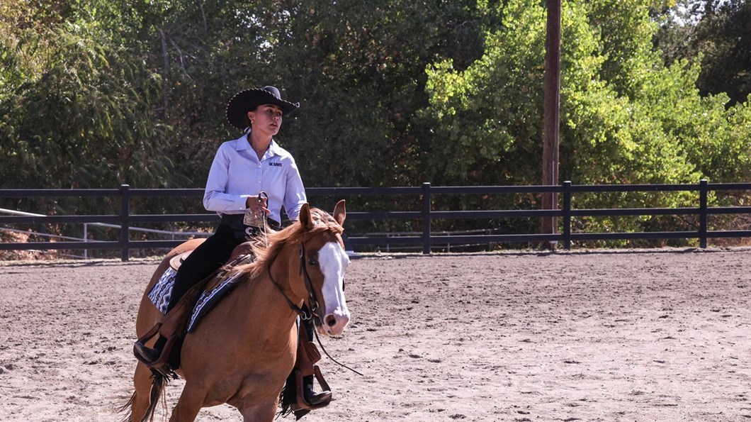 ECAC Announces Riders of the Week Ending October 19